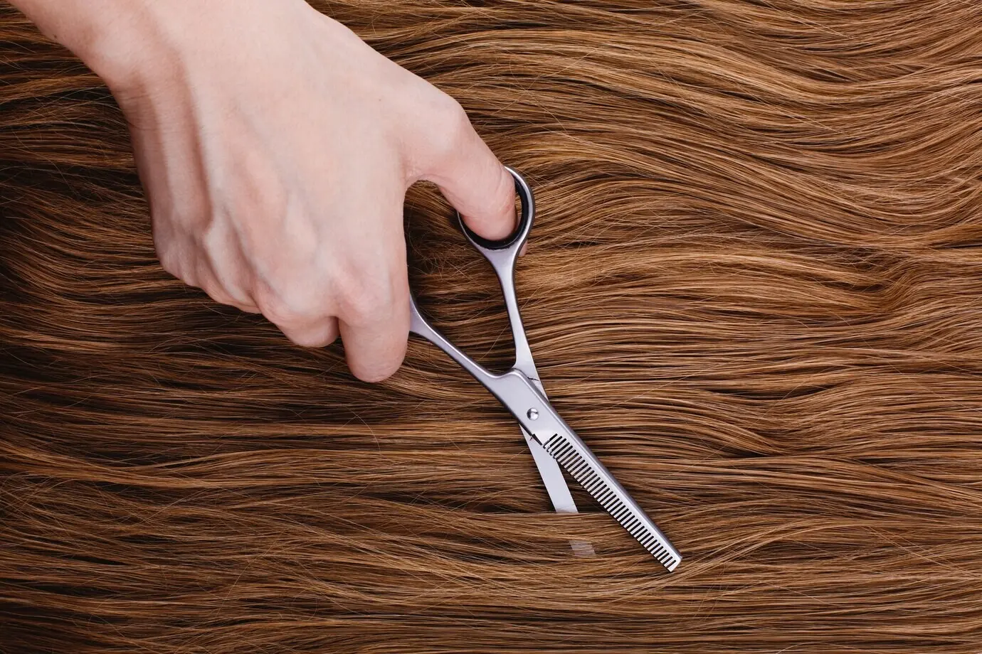 A woman uses steel scissors to cut brown hair.